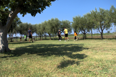 DSC00338-Corretta