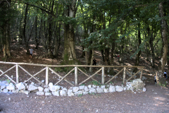 DSC00409-Corretta
