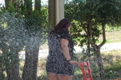 DSC03243