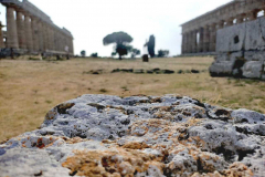 GITA AI TEMPLI DI PAESTUM 2021